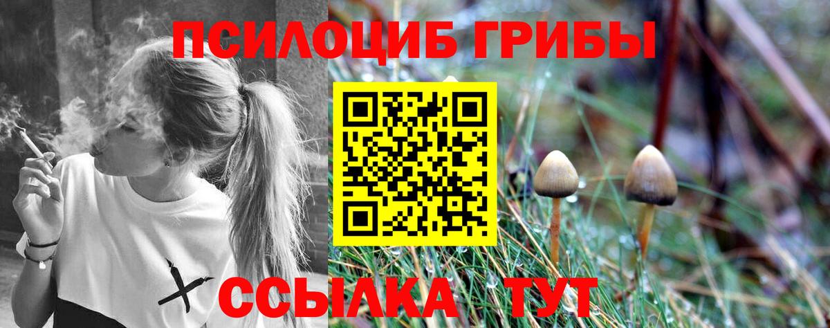 Псилоцибиновые грибы мухоморы Азов