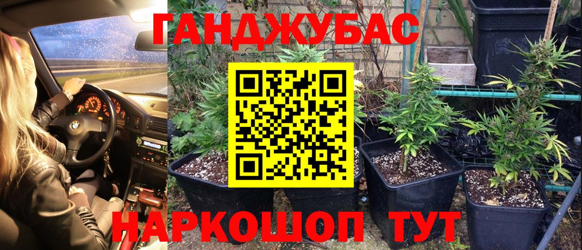 Шишки марихуана марихуана  Конопля LSD WEED  Вход с VPN  Марихуана SATIVA & INDICA  Азов  Бошки марихуана планчик 